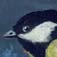 WinterMoonBird