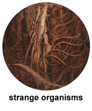 strange organisms