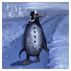 Penguin's Road (acrylic on canvasboard) 